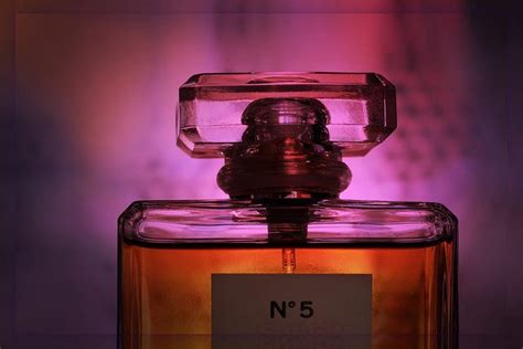 ambergris chanel no 5|where to buy ambergris.